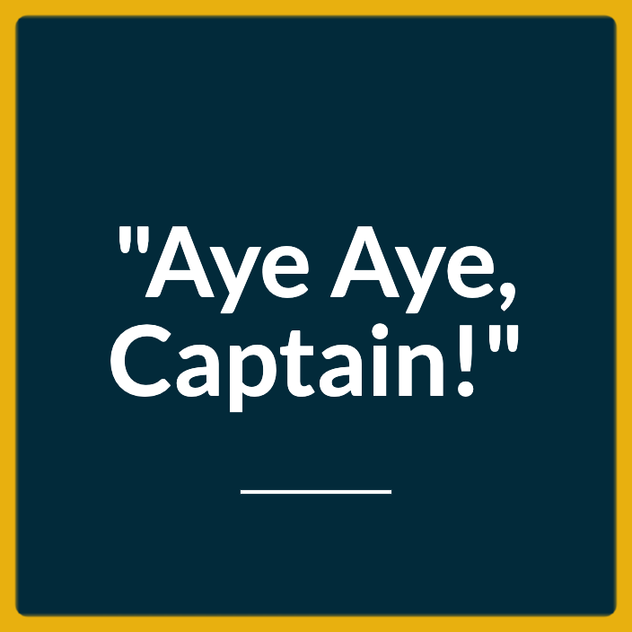 Navy Aye Aye - Featured 704X704