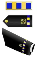 W2-chief-warrant-officer-2-Small-196x300