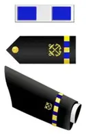 W3-chief-warrant-officer-3-Small-194x300