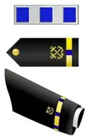 W4-chief-warrant-officer-4-Small-195x300