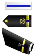 W5-chief-warrant-officer-5-Small-195x300