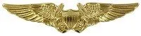 Navy naval flight officer nfo breast insignia